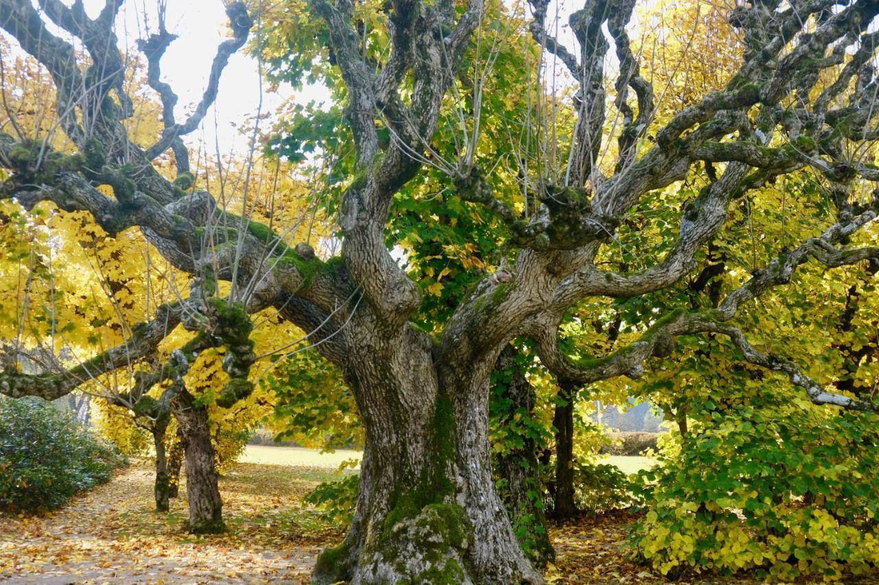 Отель Boen Gard Кристиансанд Экстерьер фото